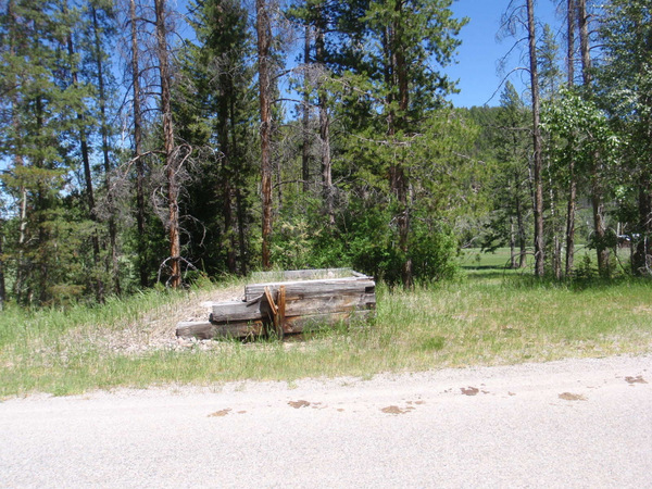 Horse Loading Ramp.